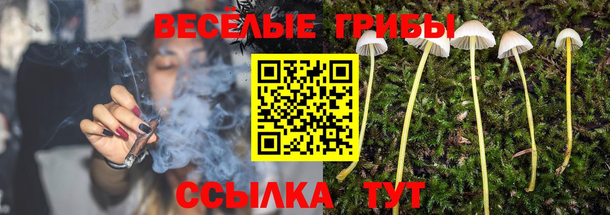Галлюциногенные грибы ЛСД  Вход с VPN  магазин продажи   Кандалакша 