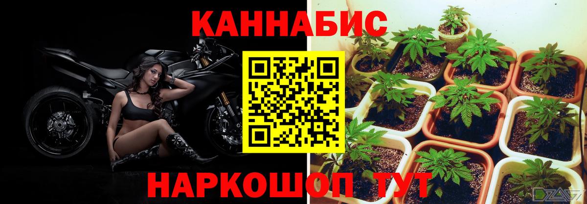 Бошки марихуана ГИДРОПОН  Канабис MAZAR  Бошки марихуана семена  Кандалакша  Конопля гибрид  Вход с VPN 